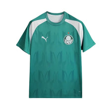 Palmeiras Treino 24/25