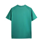 Palmeiras Treino 24/25