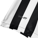 Santos Alternativa 12/13