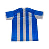 Paysandu Principal 24/25