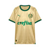 Palmeiras Terceiro 24/25