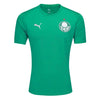 Camisa Palmeiras Treino 25/26 - Verde