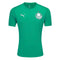 Camisa Palmeiras Treino 25/26 - Verde