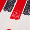 Cardiff 1993/94  Alternativa