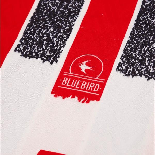 Cardiff 1993/94  Alternativa