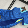 Brasil 2024  Alternativa