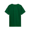 Palmeiras Principal 25/26