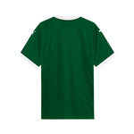 Palmeiras Principal 25/26