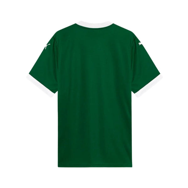 Palmeiras Principal 25/26