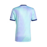 Arsenal Terceiro 24/25