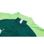 Palmeiras 24/25 - Fato de Treino - 1/2 Zip