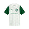 Palmeiras Alternativa 25/26