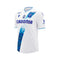 Auxerre Principal 24/25