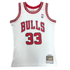 Chicago Bulls 1997-98