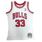 Chicago Bulls 1997-98