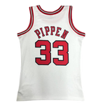 Chicago Bulls 1997-98
