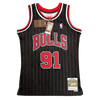 Chicago Bulls 1995-96