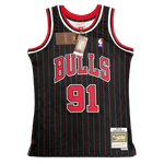 Chicago Bulls 1995-96