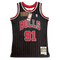 Chicago Bulls 1995-96