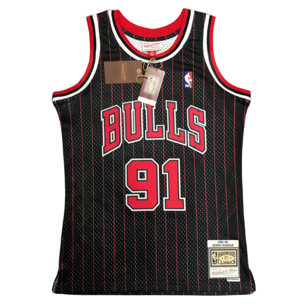 Chicago Bulls 1995-96