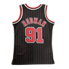 Chicago Bulls 1995-96