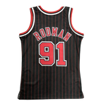 Chicago Bulls 1995-96