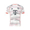 Bayern Munique Alternativa 25/26