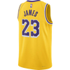 Los Angeles Lakers Icon Edition 23-2024