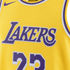 Los Angeles Lakers Icon Edition 23-2024