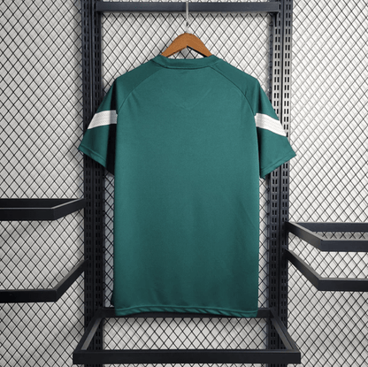 Palmeiras  de Treino T Green 2023